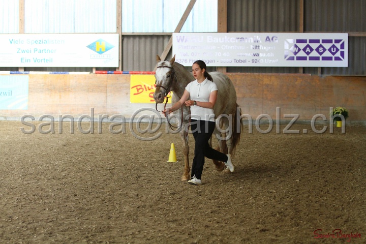 24-ApHC HIH_023.jpg